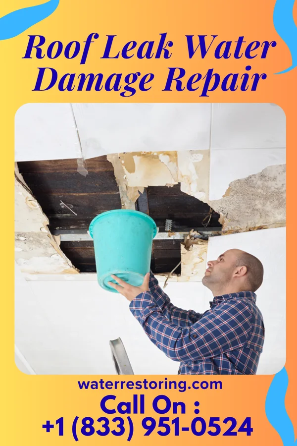 Roof Leak Water Damage Repair in Valley View, TX